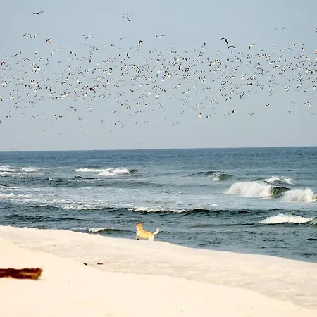 Lejlighed Meeresrauschen Ostseerauschen