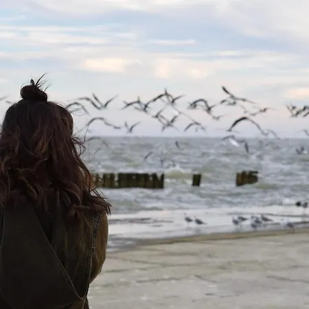 Meeresrauschen Ostseerauschen Lejlighed