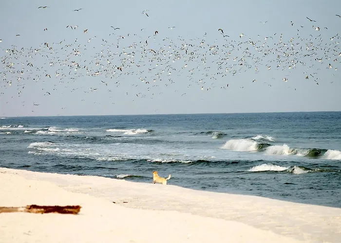 아파트 Meeresrauschen Ostseerauschen